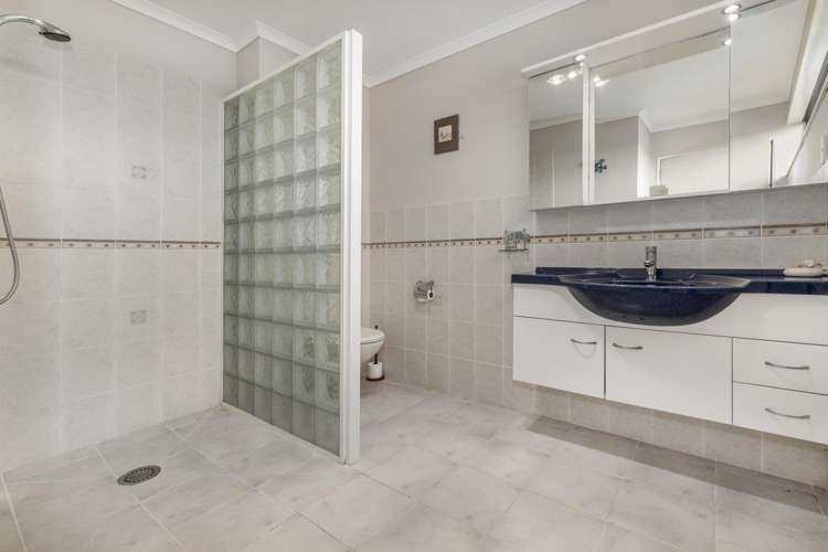 39 Bristol Street Levin_11