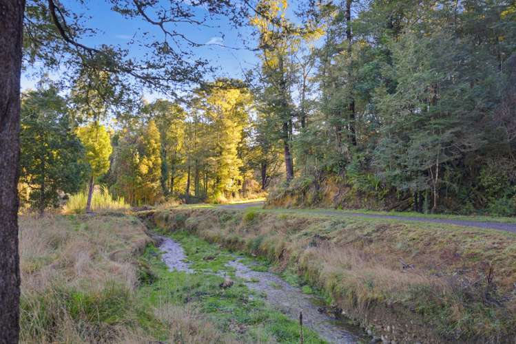 325 Forest Creek Road Stanley Brook_26