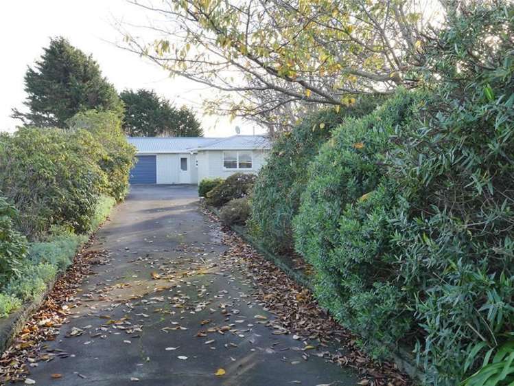 317 Waihi Road Hawera_1