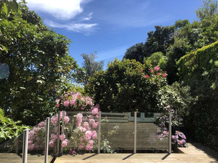 29a Acheron Road Paremata_16