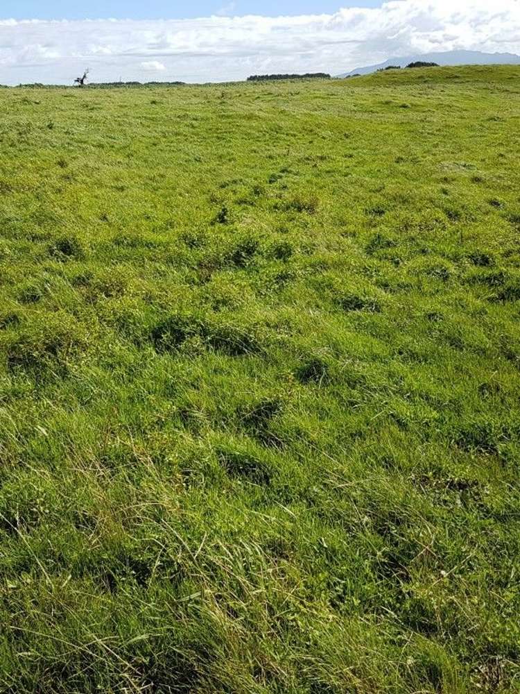 349 Ihaia Road Opunake_33