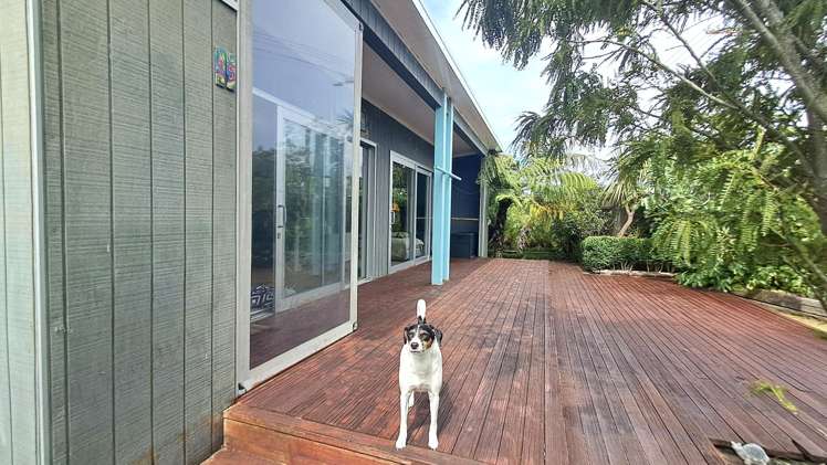 15 Cook Street Carters Beach_12