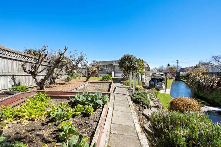 12 Colemans Road Springlands_21