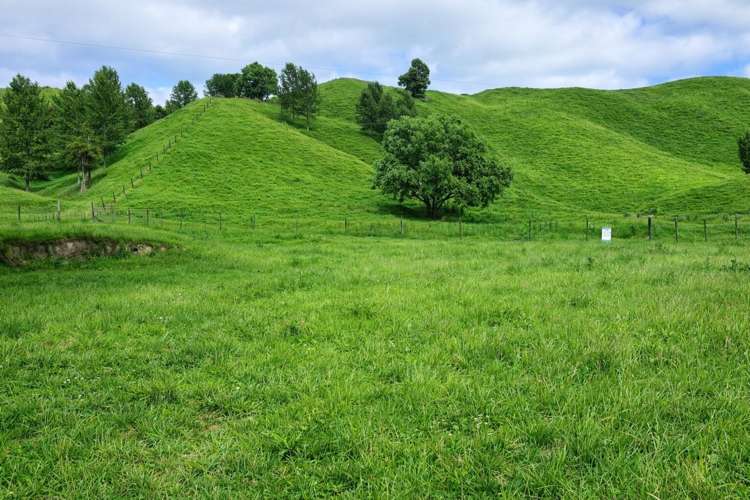 Hikumutu Road Taumarunui_1