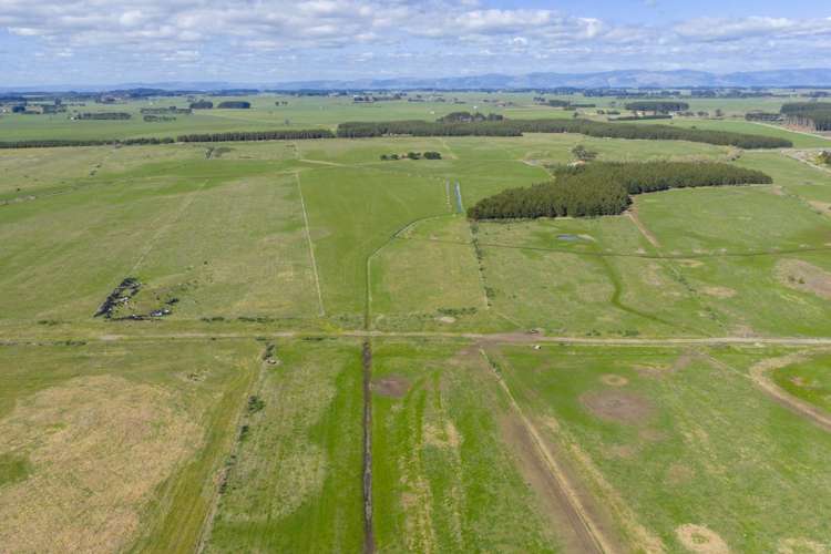 526 Lake Road Himatangi_11