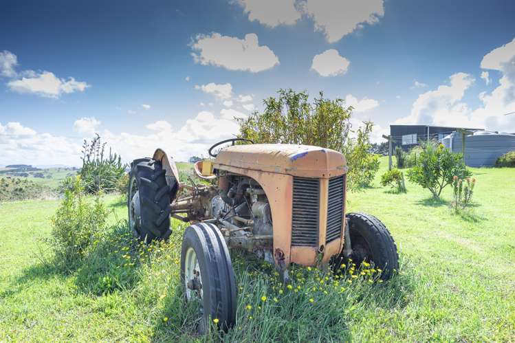 410 Mahuta Road Mahuta_31