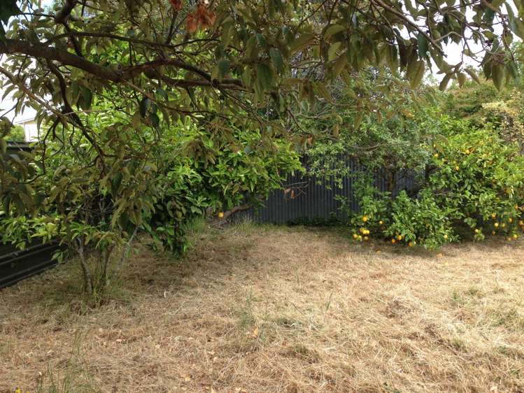 23b John F Kennedy Drive Milson_7