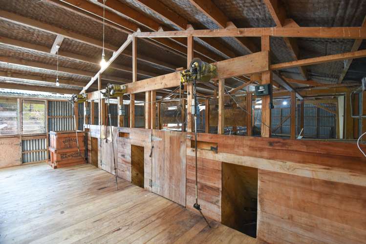 Coates Road Waikite Valley_10