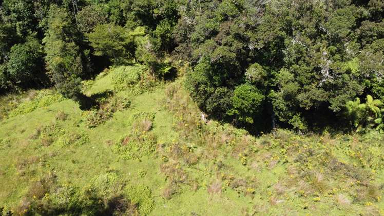 254 Doughboy Road Kokatahi_74