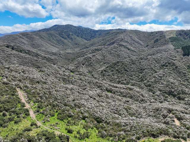 85696 State Highway 2 Mt Bruce_3