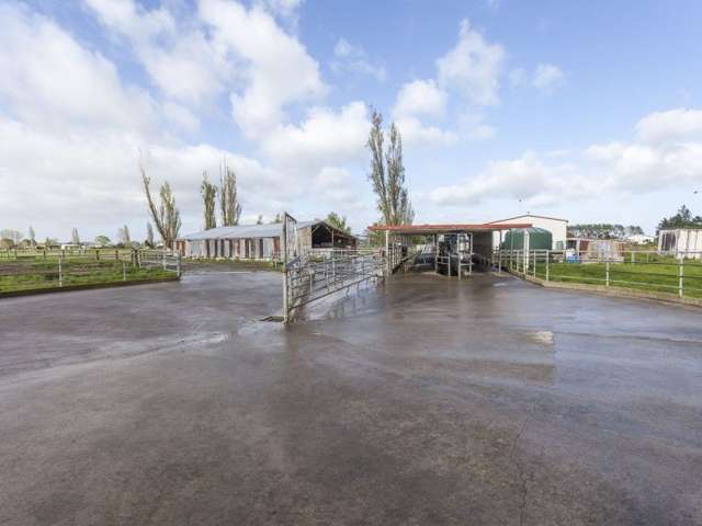 815 Hauraki Road Turua_3