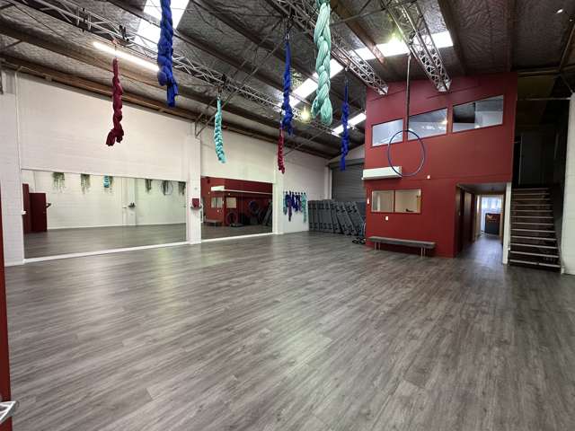 25 Carlyle Street Napier South_4