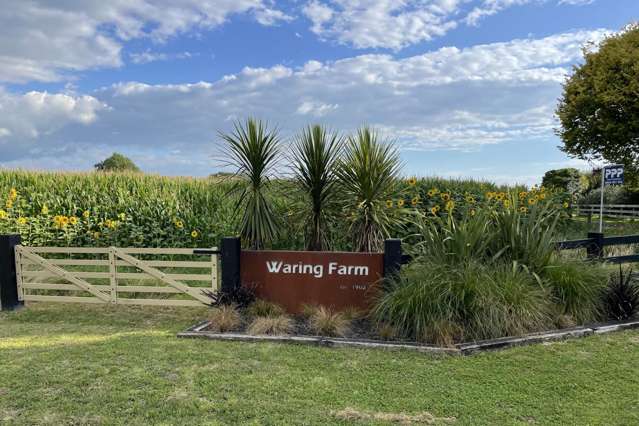 375 Waring Road Taupiri_3