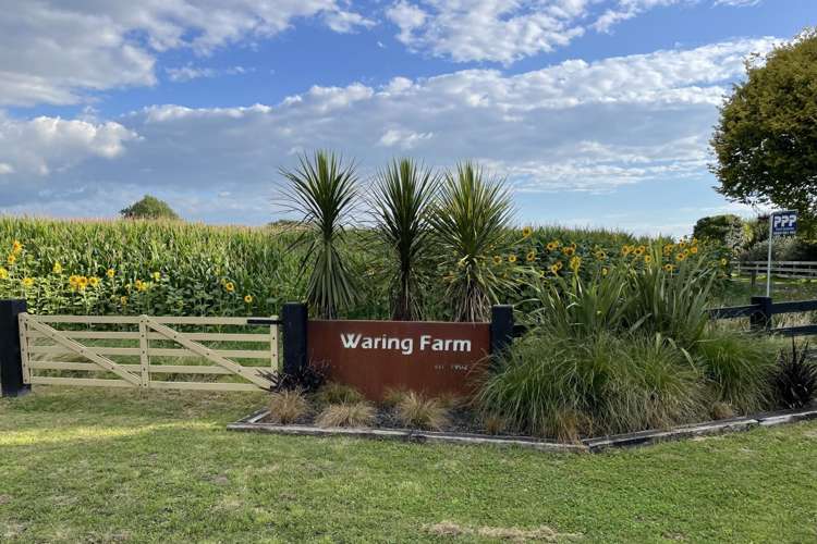 375 Waring Road Taupiri_3
