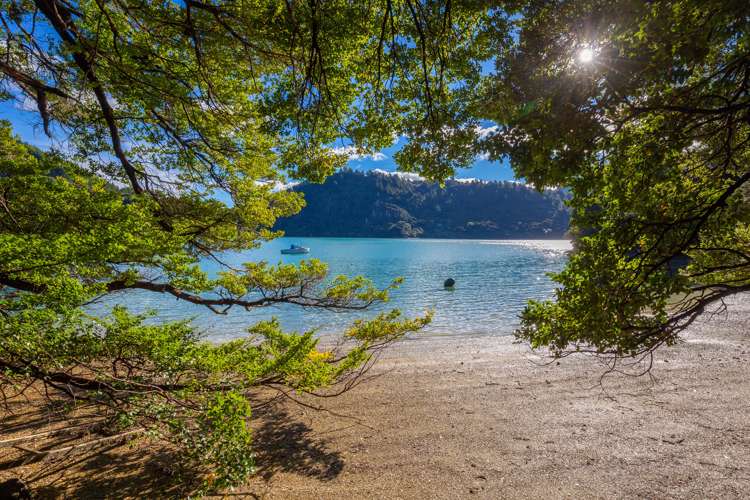 1777 Kenepuru Road Kenepuru Sound_20