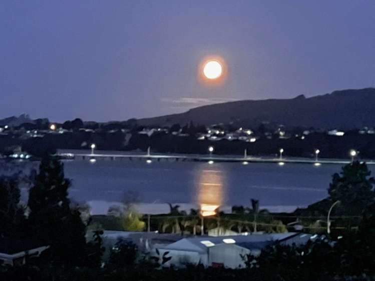 57 Twentysecond Avenue Gate Pa_1