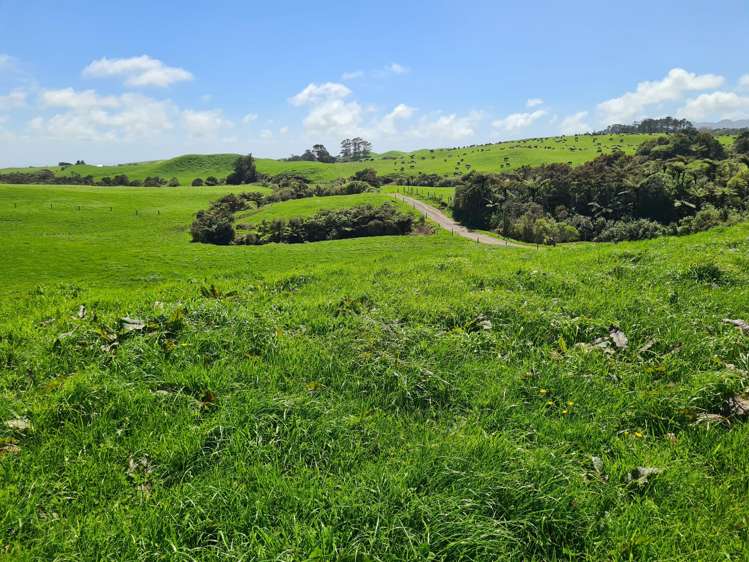 3009 Carrington Road Okato_15