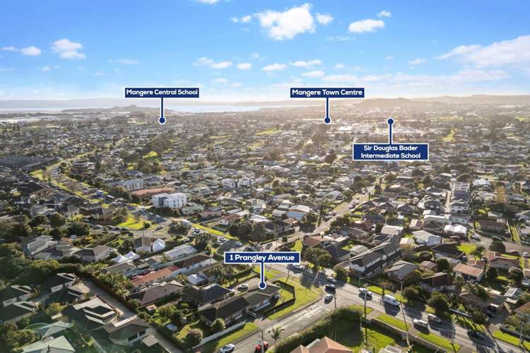 1/1 Prangley Avenue Mangere_13