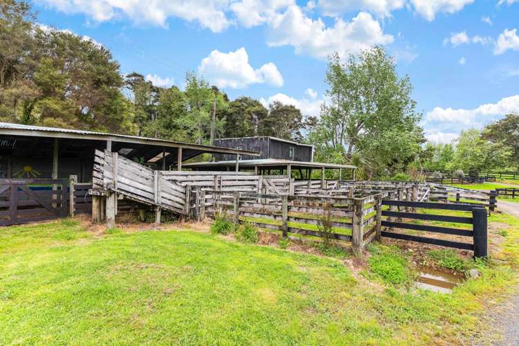 66 Head Road Hunua_31