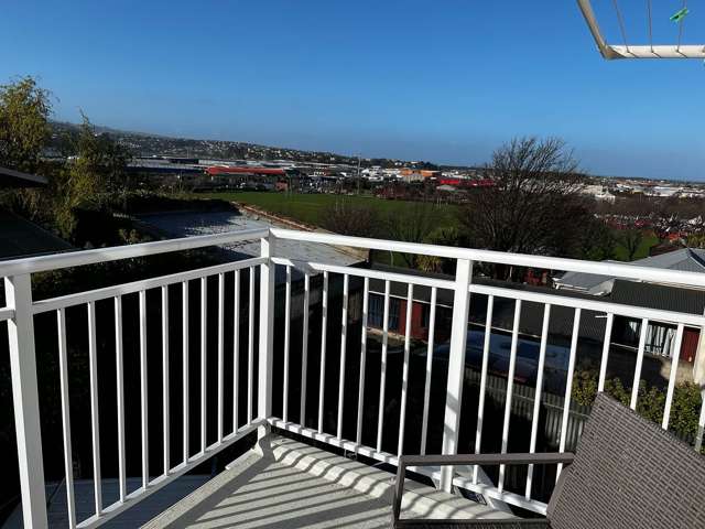 22A Maitland Street Dunedin Central_3