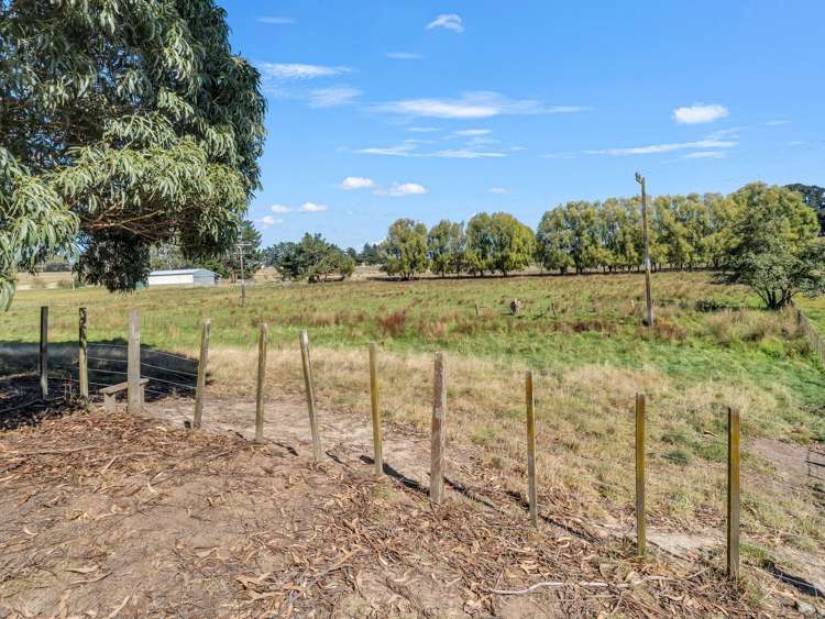 371 Tutaki Road Bunnythorpe_25