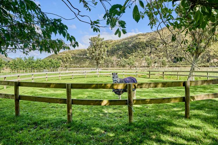 1296 Coast Road Wainuiomata Coast_29