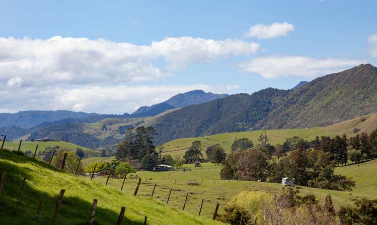 55 Totara Valley Road Thames_22