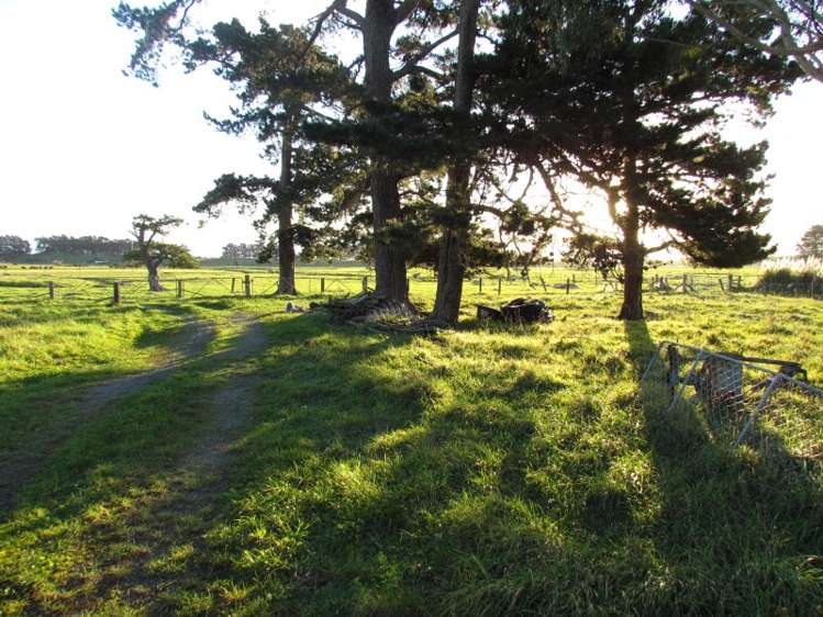 2246 Kahutara Road Kahutara_16