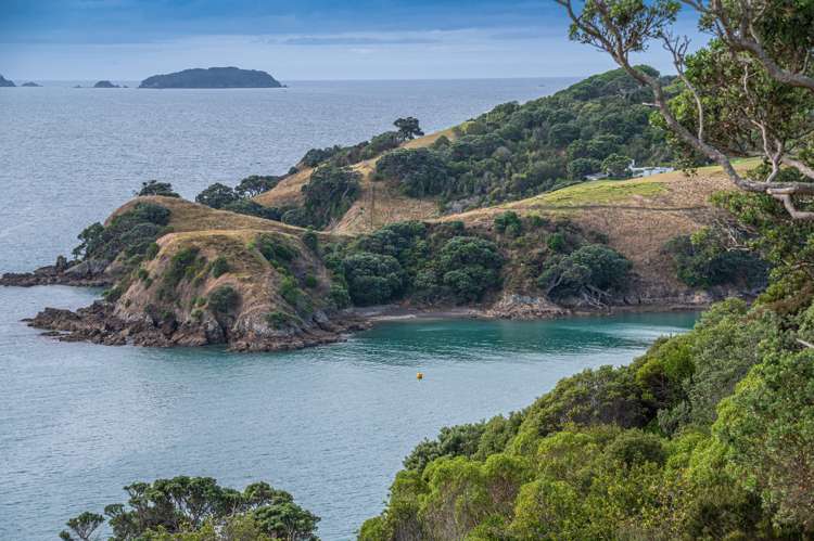 155 Nick Johnstone Drive_1