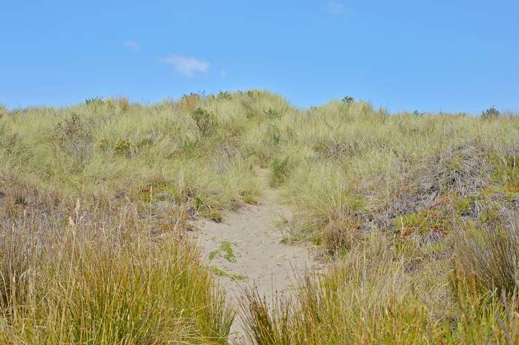 79d Blue Pacific Parade Riversdale Beach_11