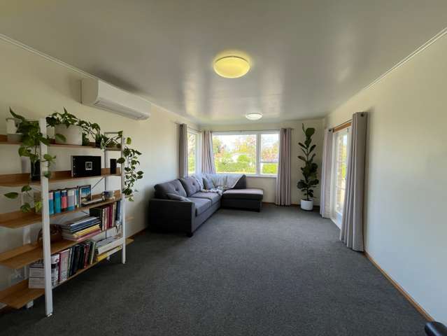 1 River View Road Morrinsville_3