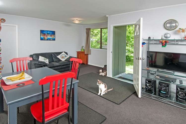 5 Glucina Place Glen Eden_6