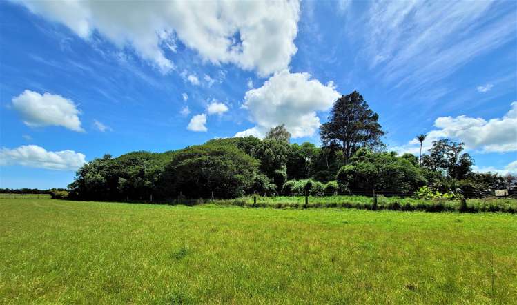 Tramline Road Ruawai_6