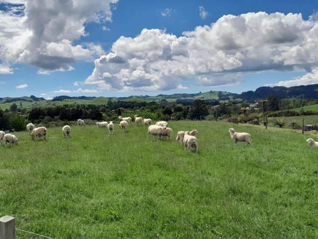 120C Bulltown Road Waihi_1