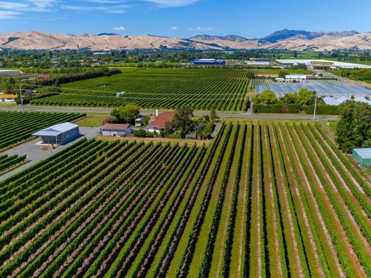 202 Old Renwick Road Springlands_0