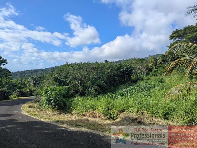 Address withheld Taveuni_14