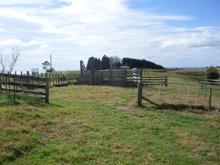 34d Hauone Road Pikowai_1