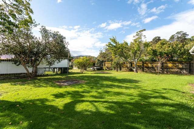 308 Ngati Maru Highway Thames_1
