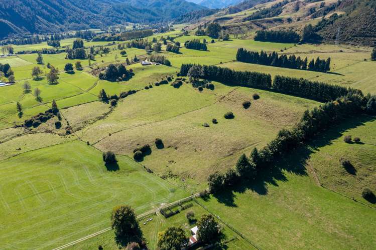 536 Matiri Valley Road Murchison_19