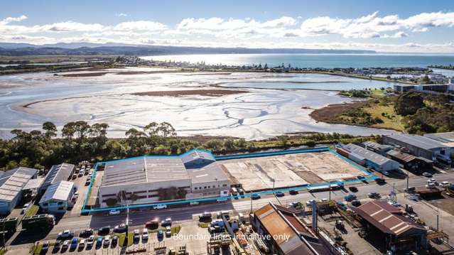 Large-Scale Napier Industrial