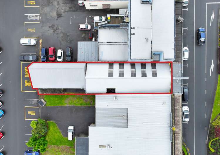 164 Alexandra Street Te Awamutu_2