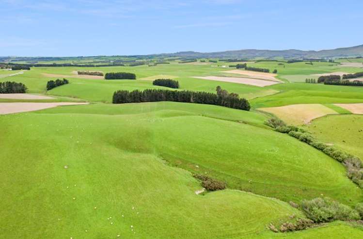 355 Clifton Road Clinton and Surrounds_14