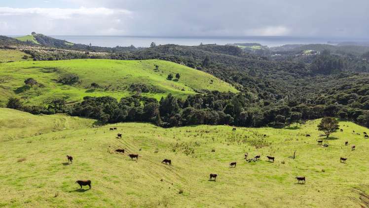 1070a Wainui Road Kaeo_6