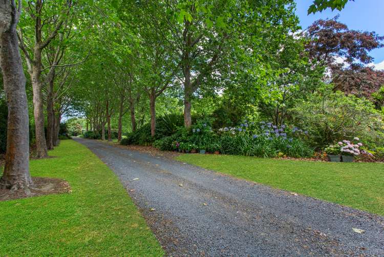 246 Ponga Road Opaheke_21