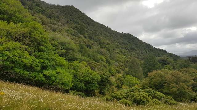 130-132 Powell Road Herekino_3