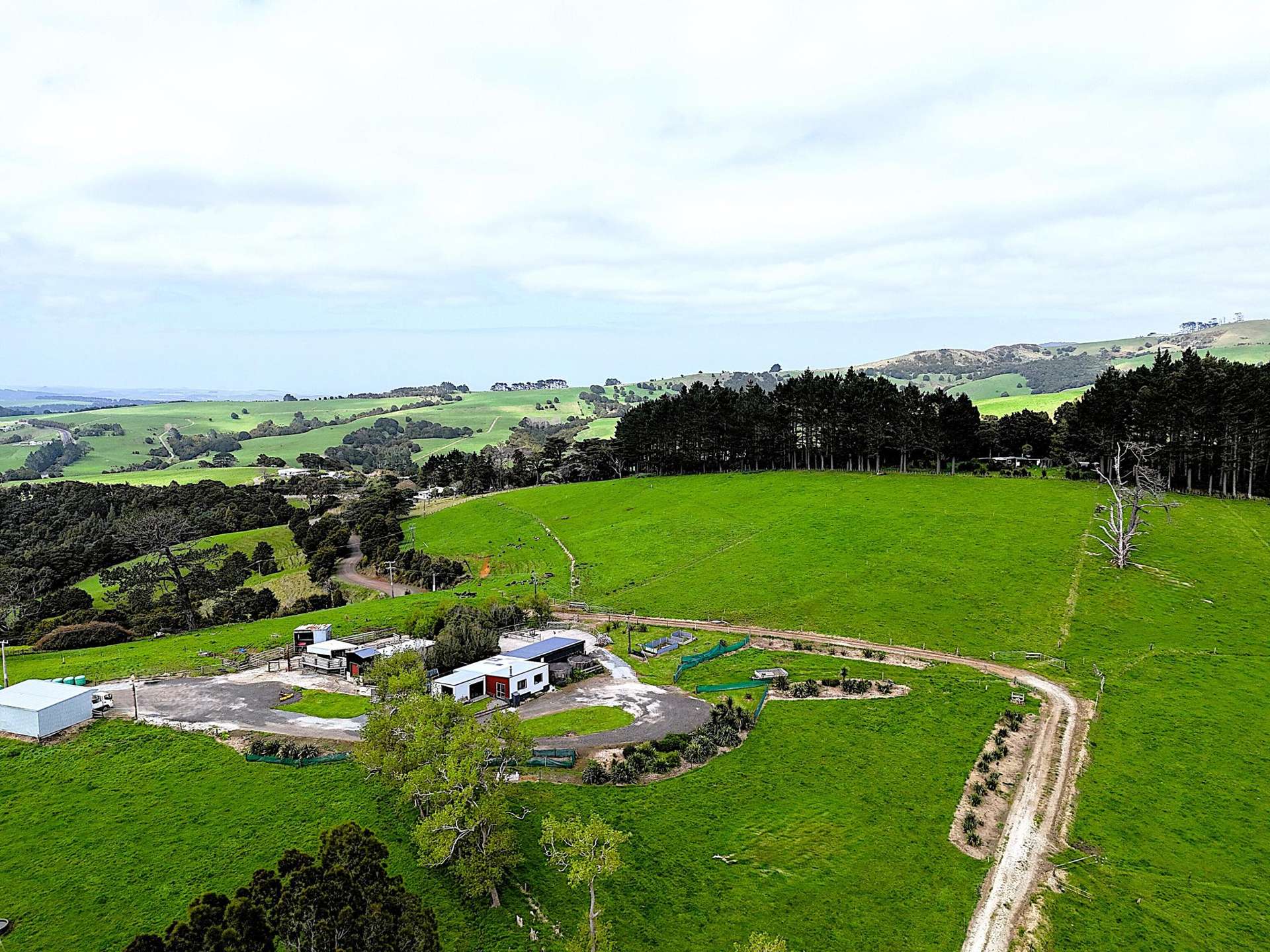 65 Proud Road Dargaville Surrounds_0