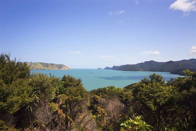 81 Cornwallis Road Cornwallis_18