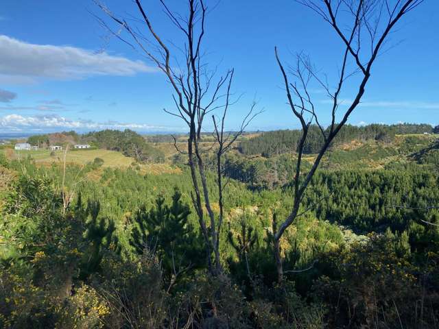 Lot 6 Tram Gully Road Awhitu_3