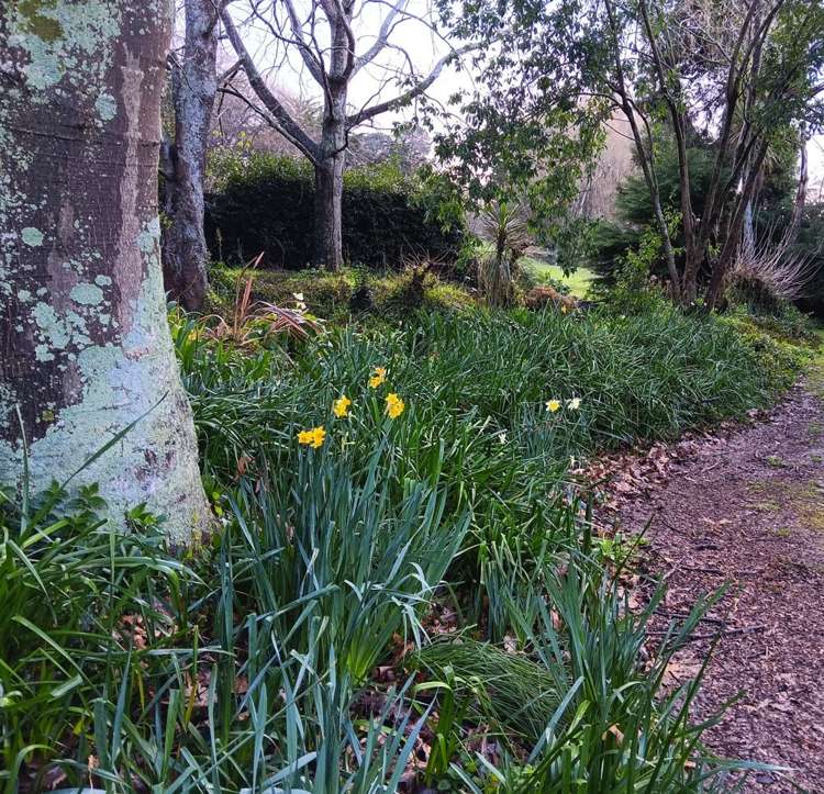 60 Phillips Street Tikokino_12