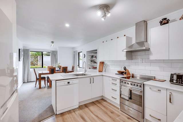 49E Carey Street Maeroa_4